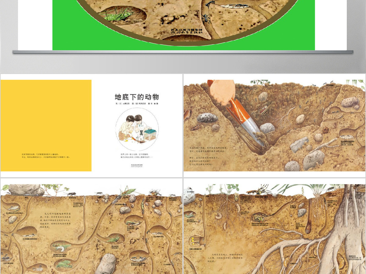 地底下的动物幼儿绘本教育课件