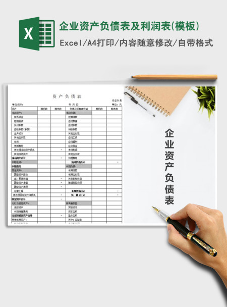 2021年企业资产负债表及利润表(模板)