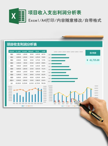2021年项目收入支出利润分析表