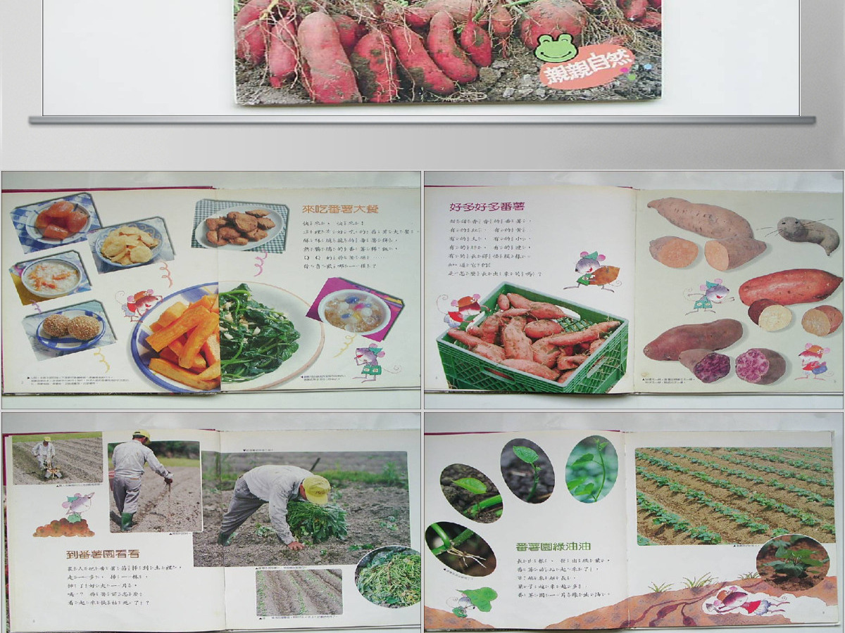 番薯PPT绘本课件 番薯PPT绘本课件