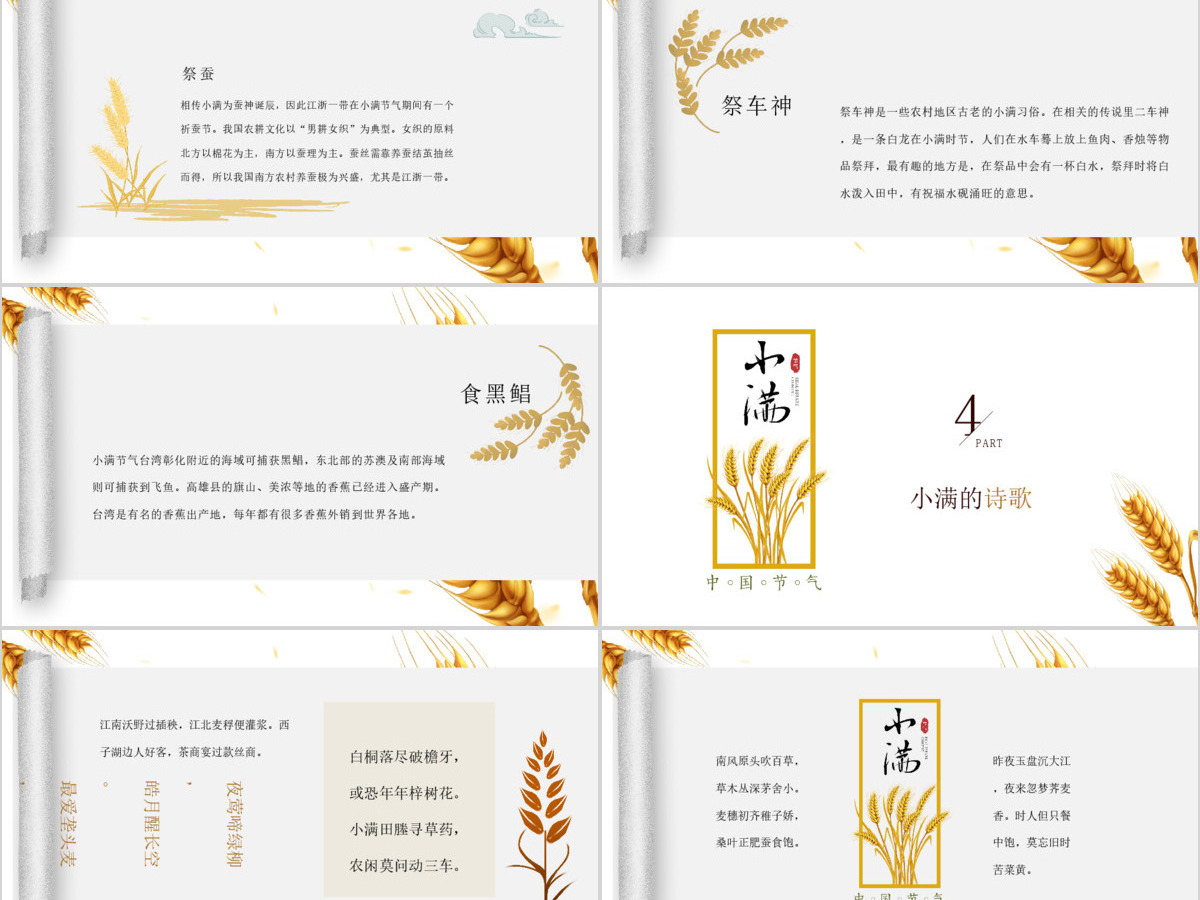 简约风麦穗中国二十四节气小满介绍PPT模板 简约风麦穗中国二十四节气小满介绍PPT模板