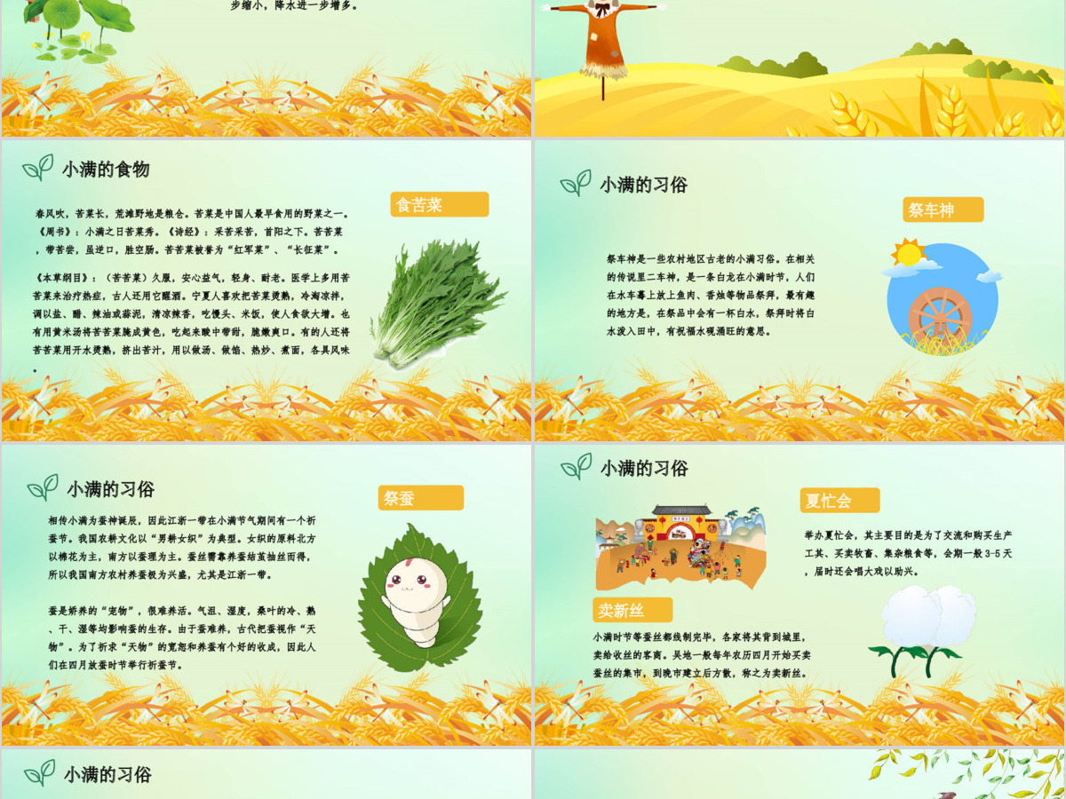 中国传统二十四节气之小满课件PPT模板 中国传统二十四节气之小满课件PPT模板