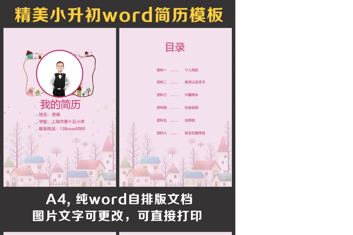小升初简历