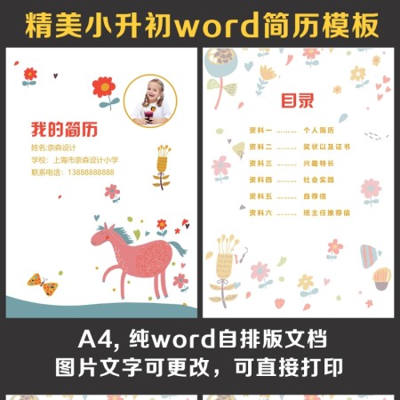 小升初简历