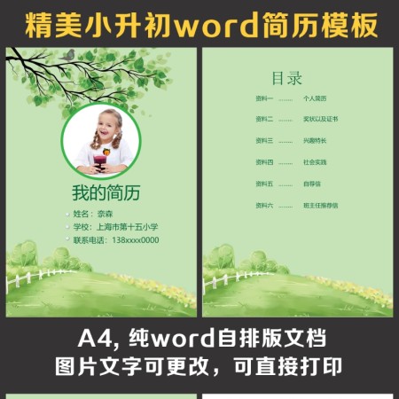 小升初简历