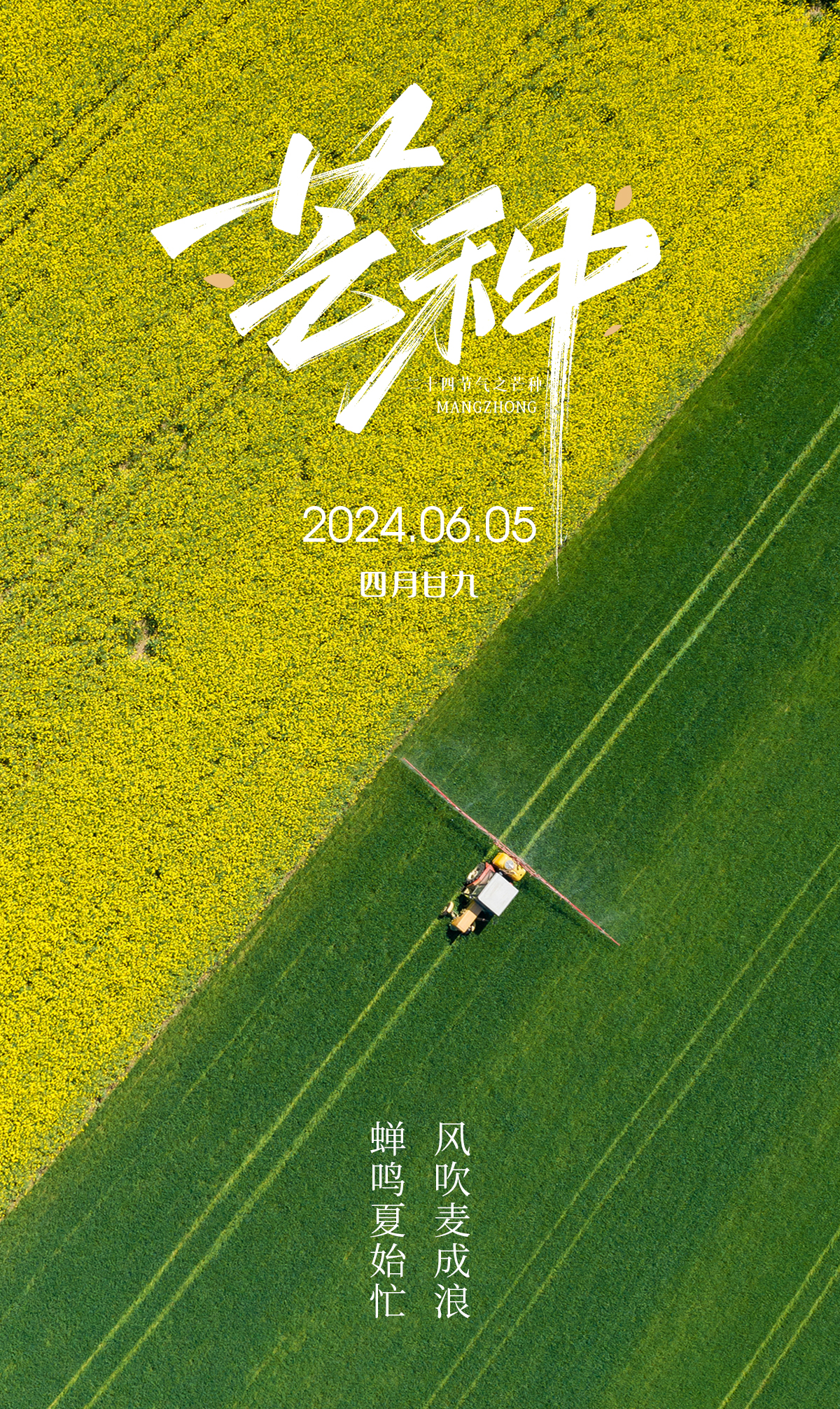 芒种二十四节气海报设计