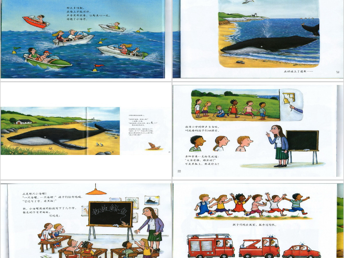 小海螺和大鲸鱼幼儿绘本教育课件 小海螺和大鲸鱼幼儿绘本教育课件