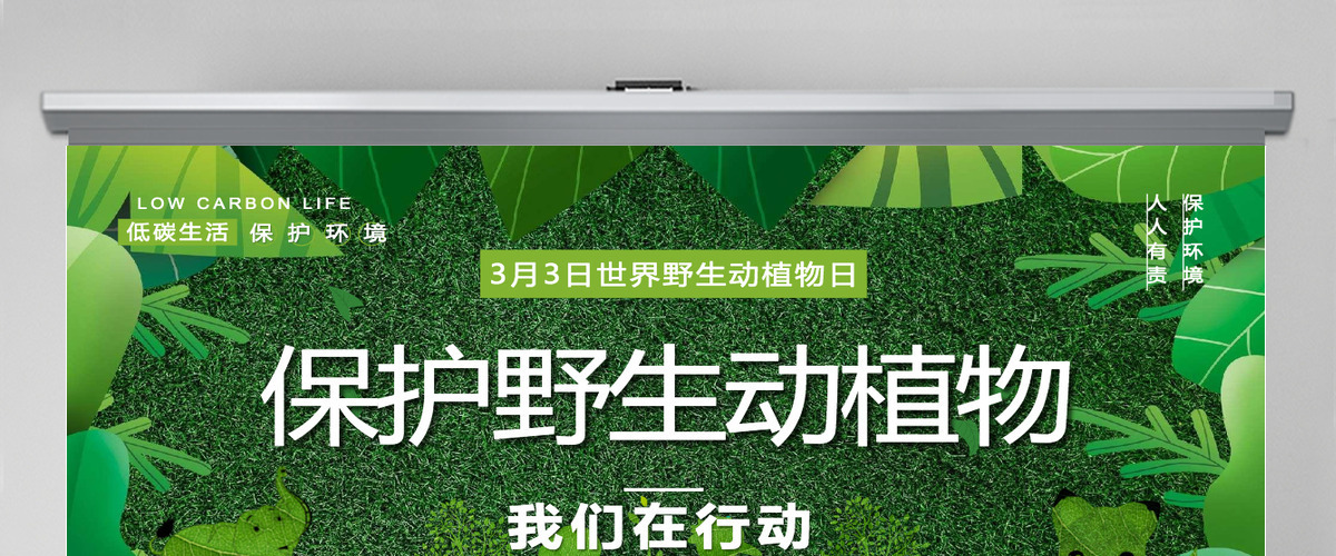 2022保护野生动植物卡通简约风世界野生动植物日知识介绍课件模板PPT