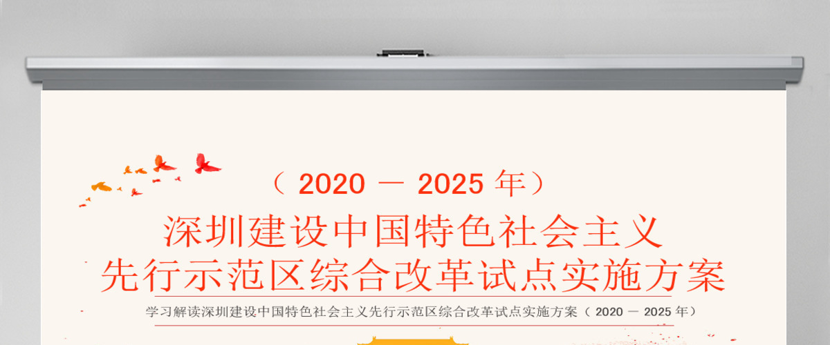 深圳建设中国特色社会主义先行示范区综合改革试点实施方案PPT