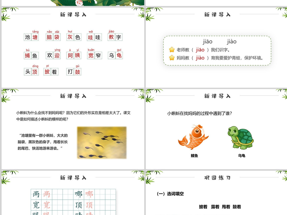 小学一年级下册课件《小蝌蚪找妈妈》PPT---含教案