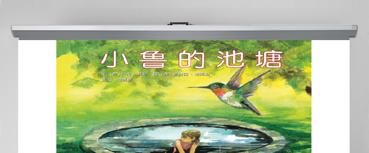 小鲁的池塘PPT绘本 小鲁的池塘PPT绘本