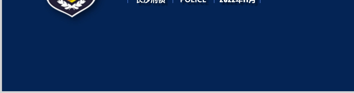 长沙分局自行车被盗案汇报PPT