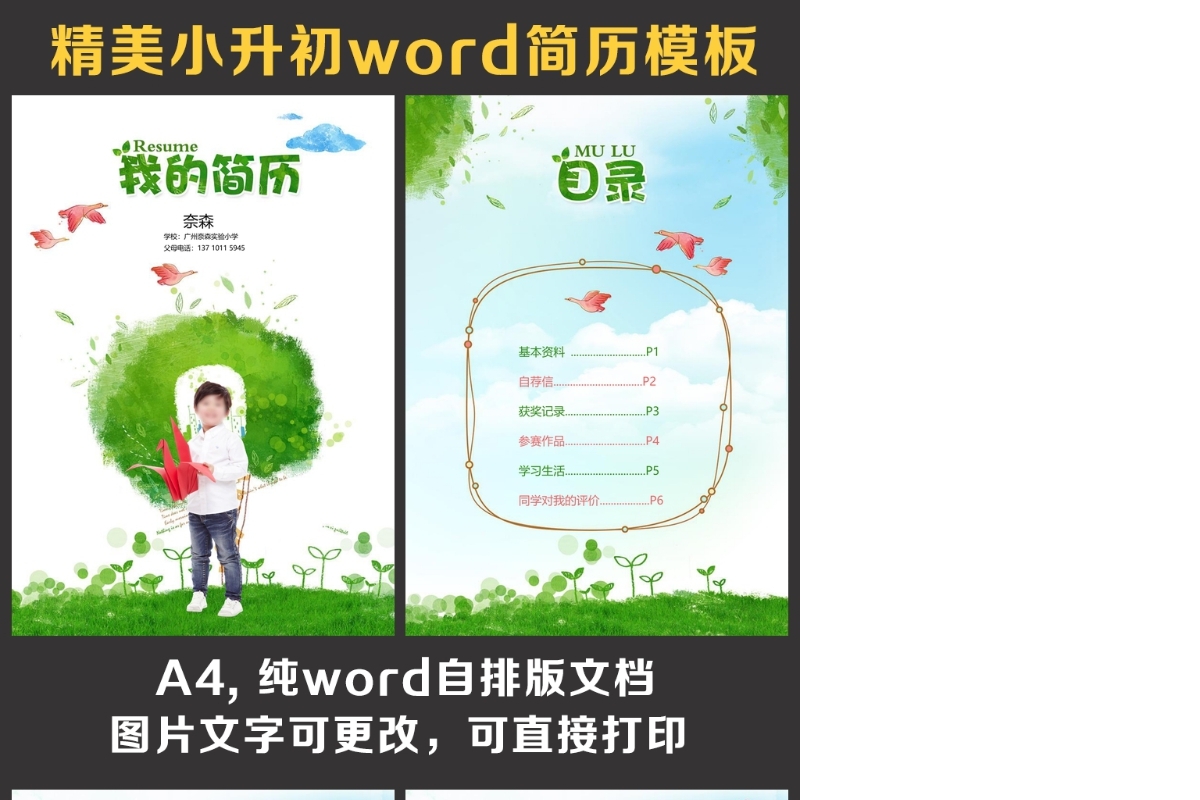 小升初简历