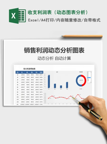 2021年收支利润表（动态图表分析）