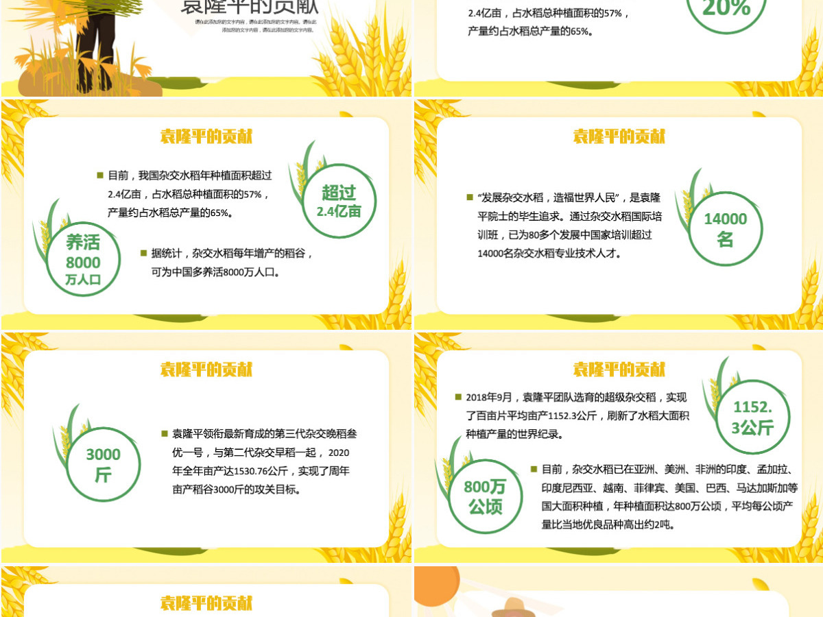 济天下精神永传传承杂交水稻之父—袁隆平精神小学卡通专题