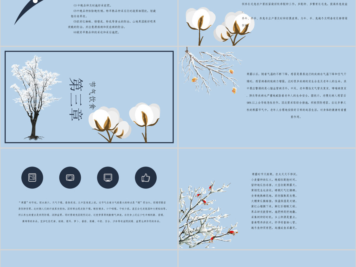 寒露节气PPT模板 寒露节气PPT模板