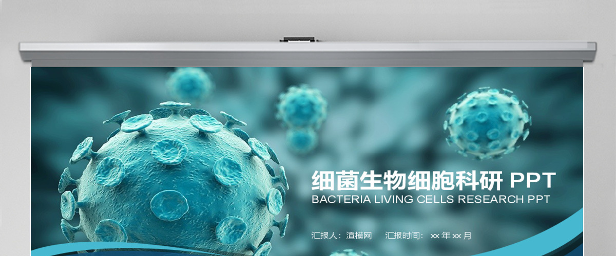 细菌生物细胞医学科研PPT模板 细菌生物细胞医学科研PPT模板