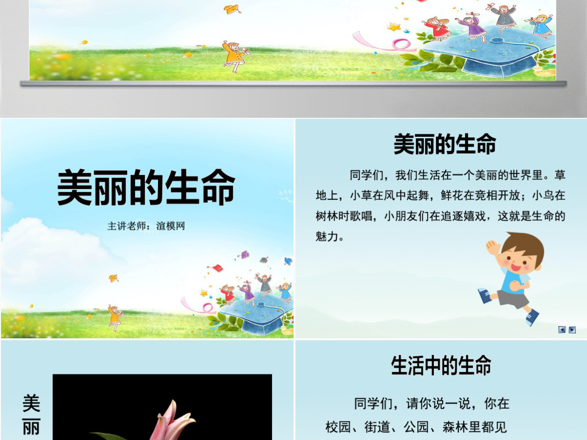 品德与社会四上美丽的生命PPT课件 品德与社会四上美丽的生命PPT课件