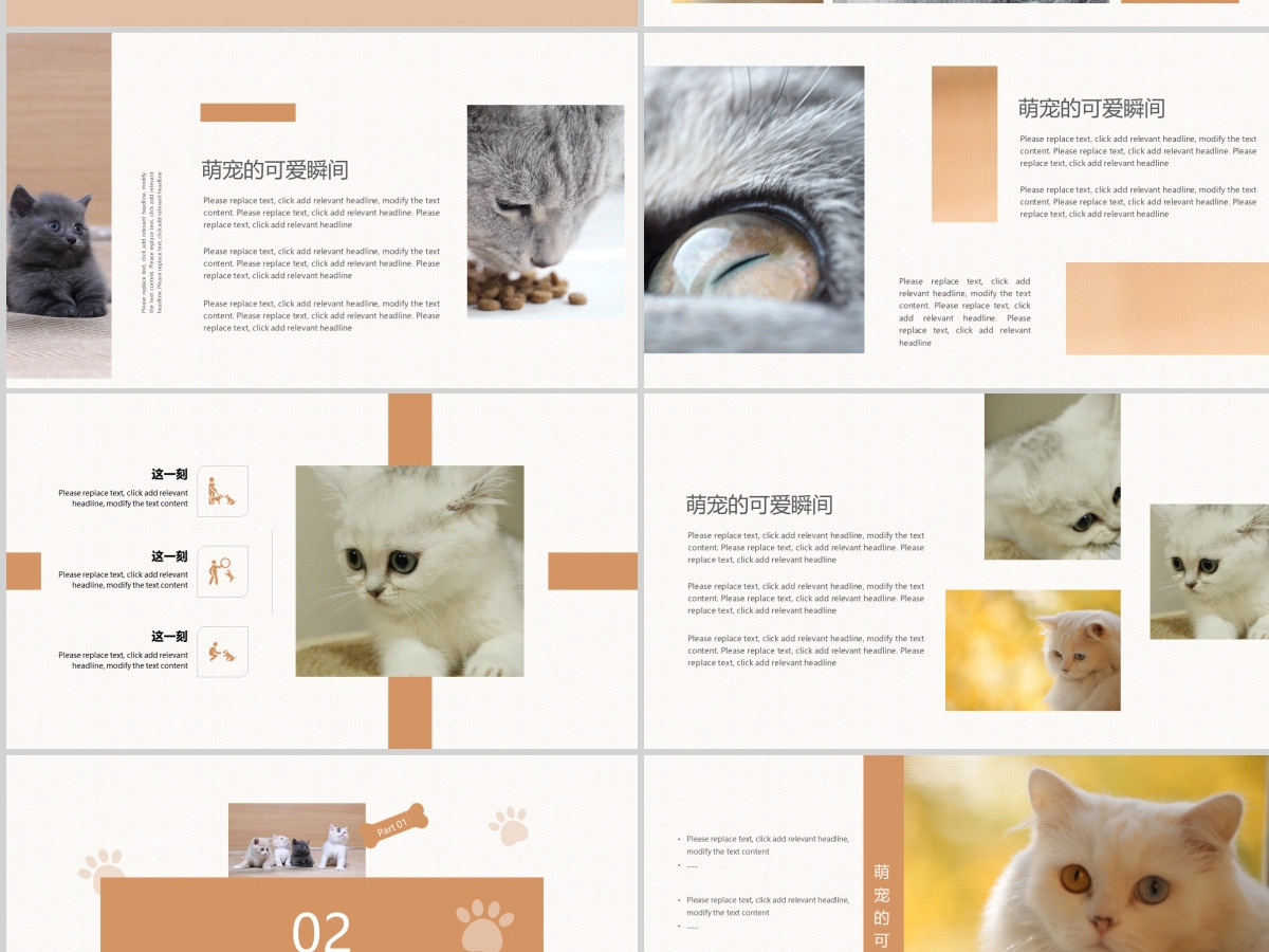 橙色可爱风格宠物小猫咪小动物宠物画册
