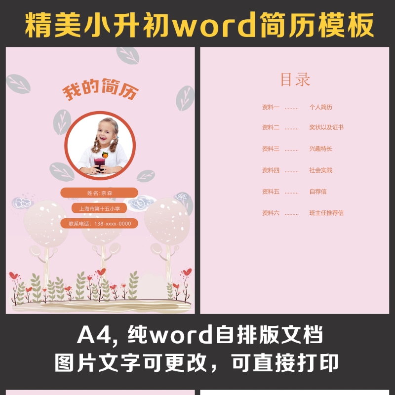 小升初简历