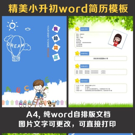 小升初简历