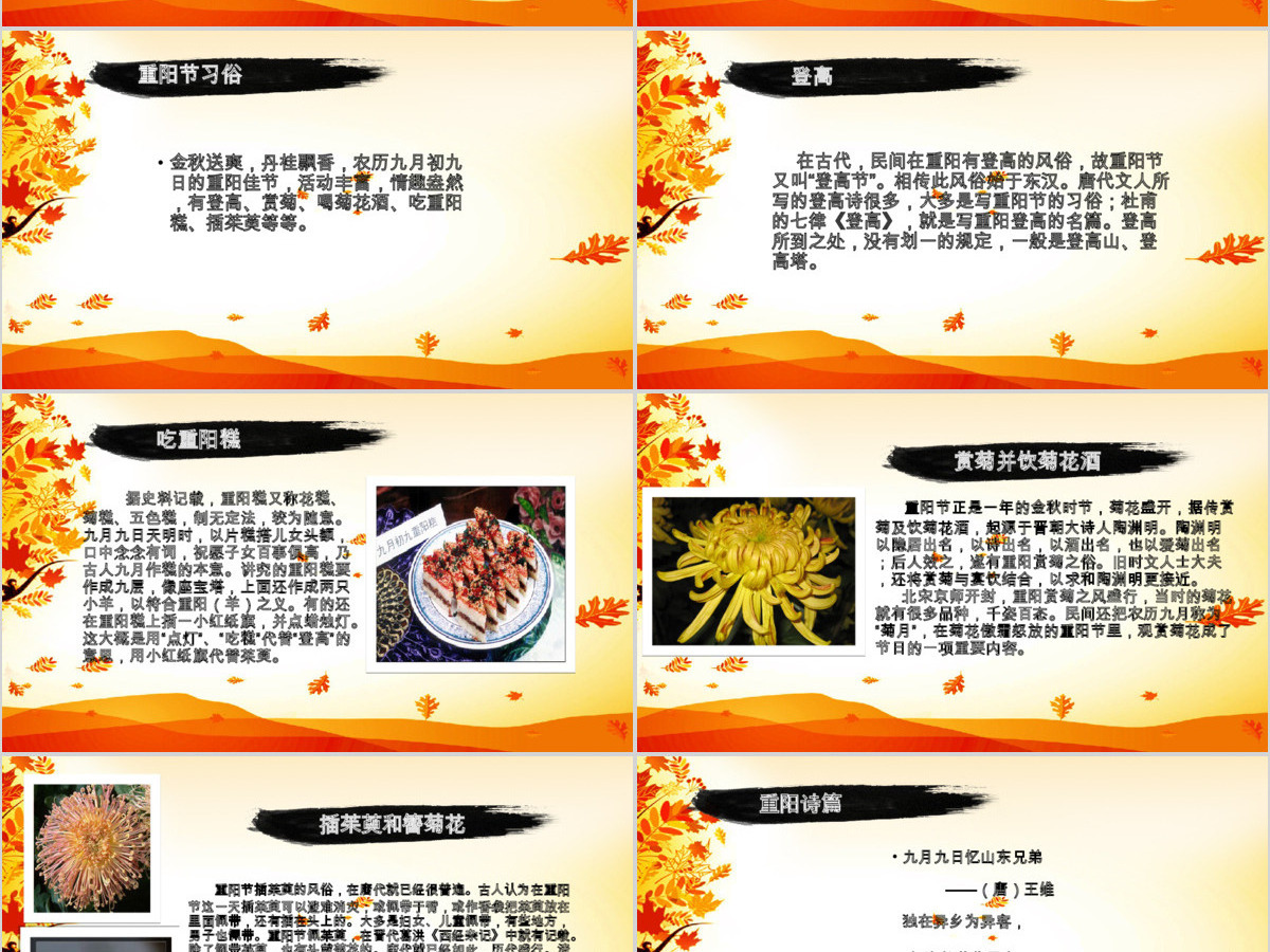 关爱老年人生活重阳节PPT模板