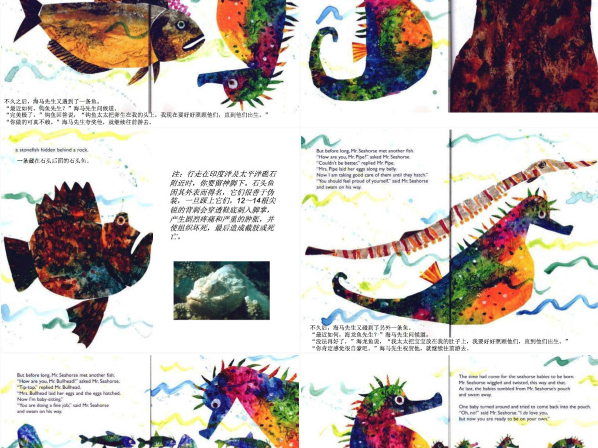海马先生幼儿绘本教育课件