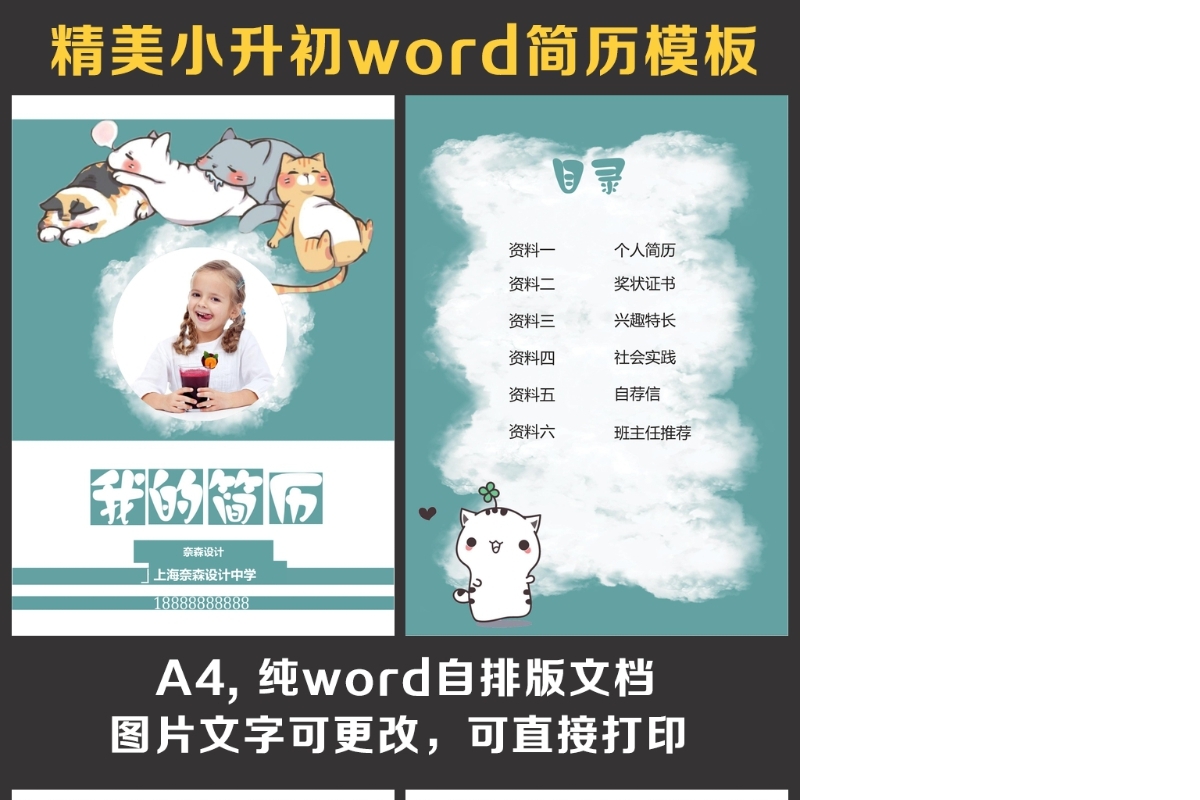 小升初简历