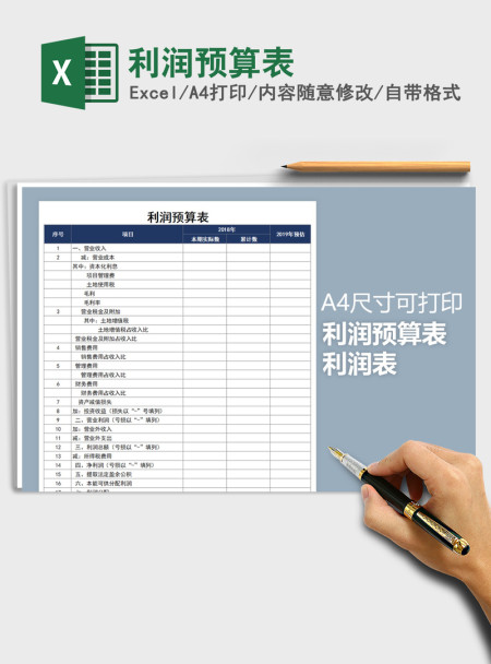 2021年利润预算表
