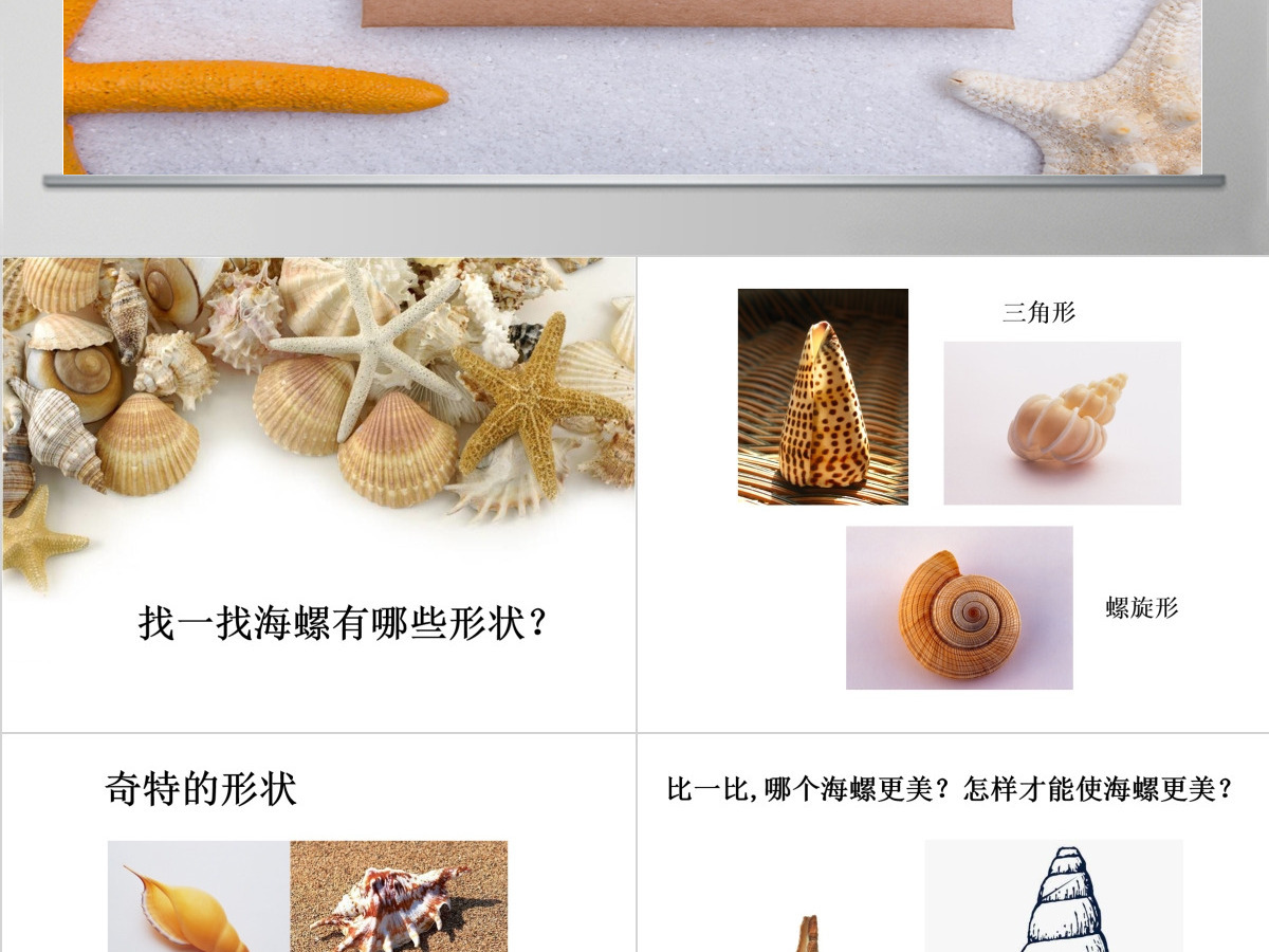 第九课海螺和海星岭南版一年级下册美术ppt 第九课海螺和海星岭南版一年级下册美术ppt