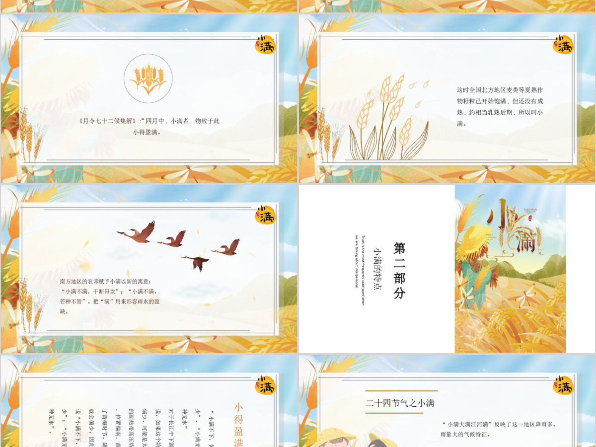 简约麦穗二十四节气之小满ppt模板