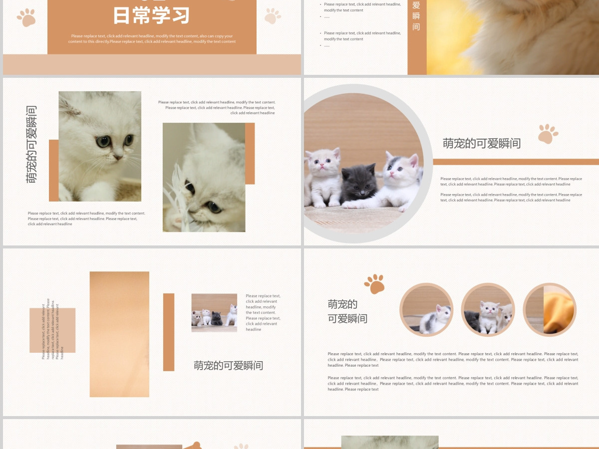 橙色可爱风格宠物小猫咪小动物宠物画册