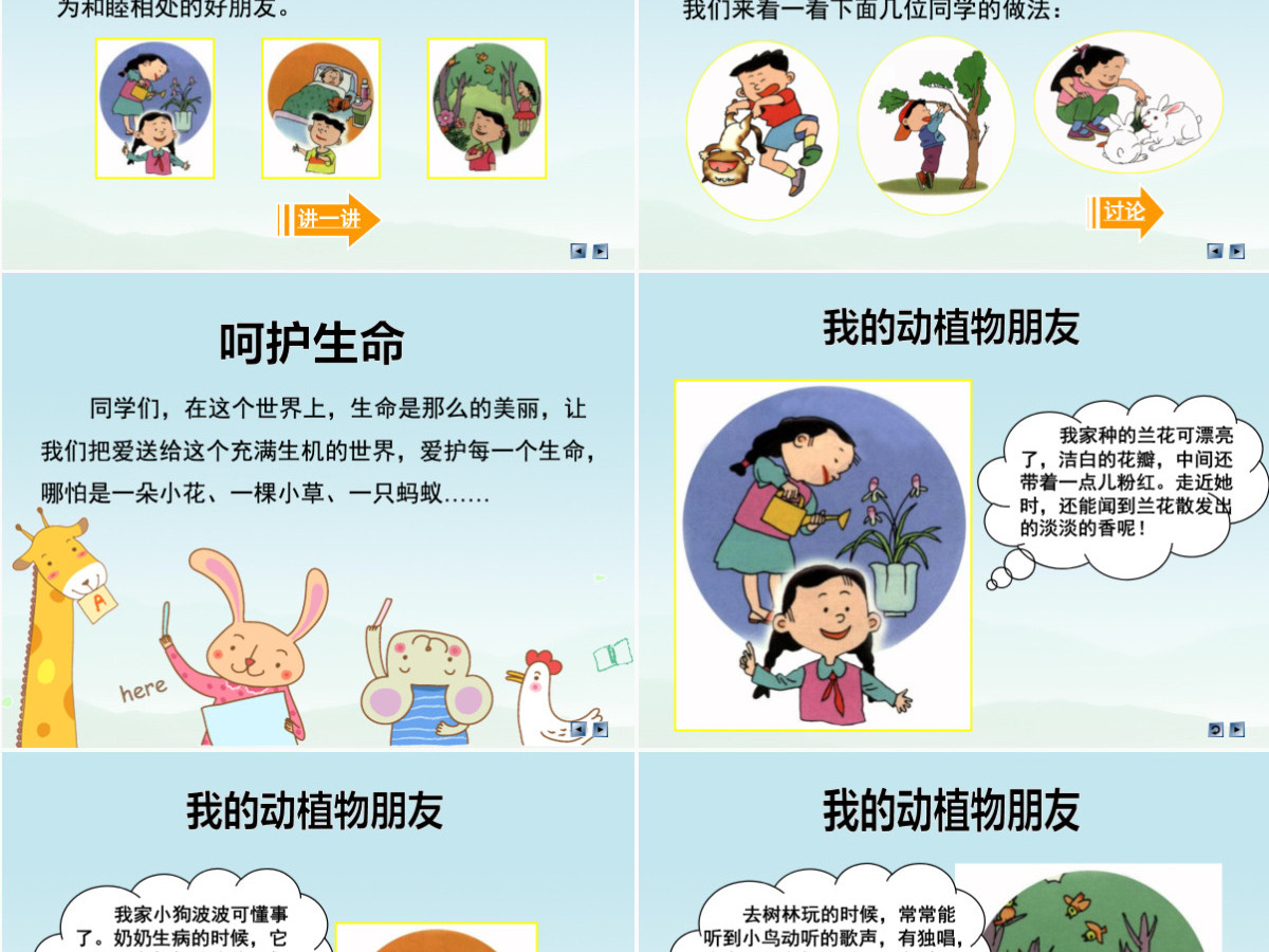 品德与社会四上美丽的生命PPT课件 品德与社会四上美丽的生命PPT课件