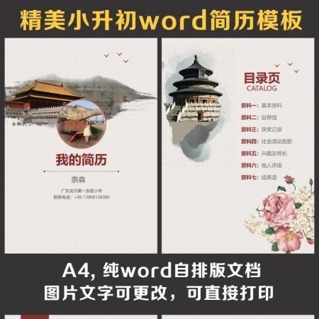 小升初简历