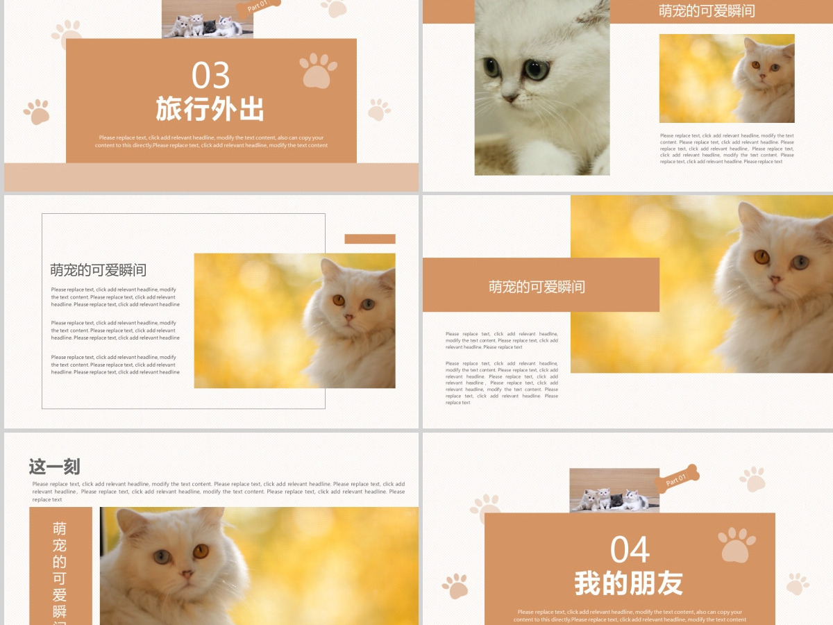 橙色可爱风格宠物小猫咪小动物宠物画册