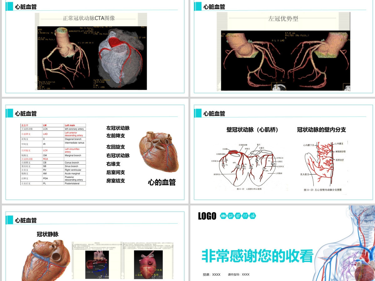 完整内容心脏健康医学解剖研究PPT模板素材下载 完整内容心脏健康医学解剖研究PPT模板素材下载