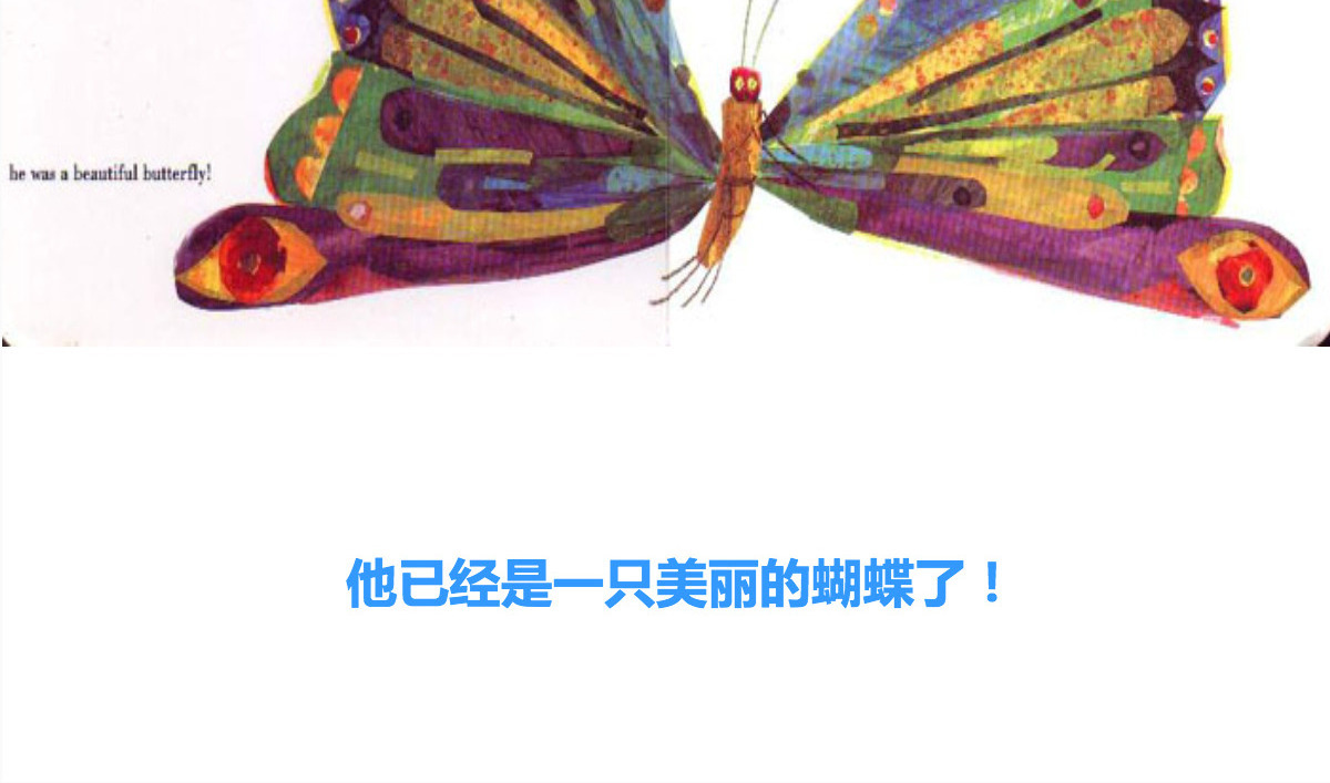 《好饿的毛毛虫》绘本故事PPT课件
