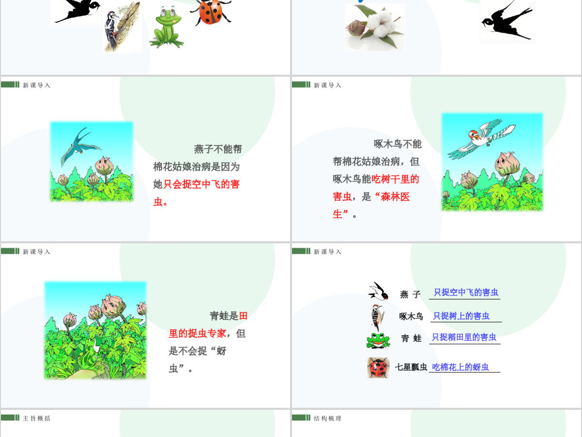 人教版小学一年级语文下册第四章课文：第十九课——棉花姑娘（含配套教案）课件PPT