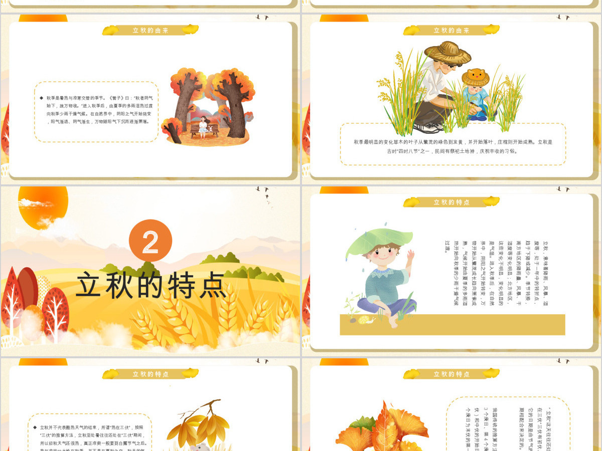 金秋丰收季秋天来了立秋二十四节气班会ppt课件 金秋丰收季秋天来了立秋二十四节气班会ppt课件