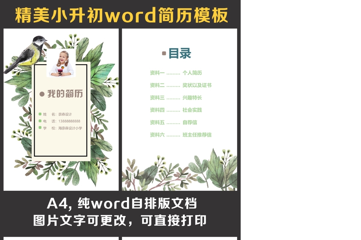 小升初简历