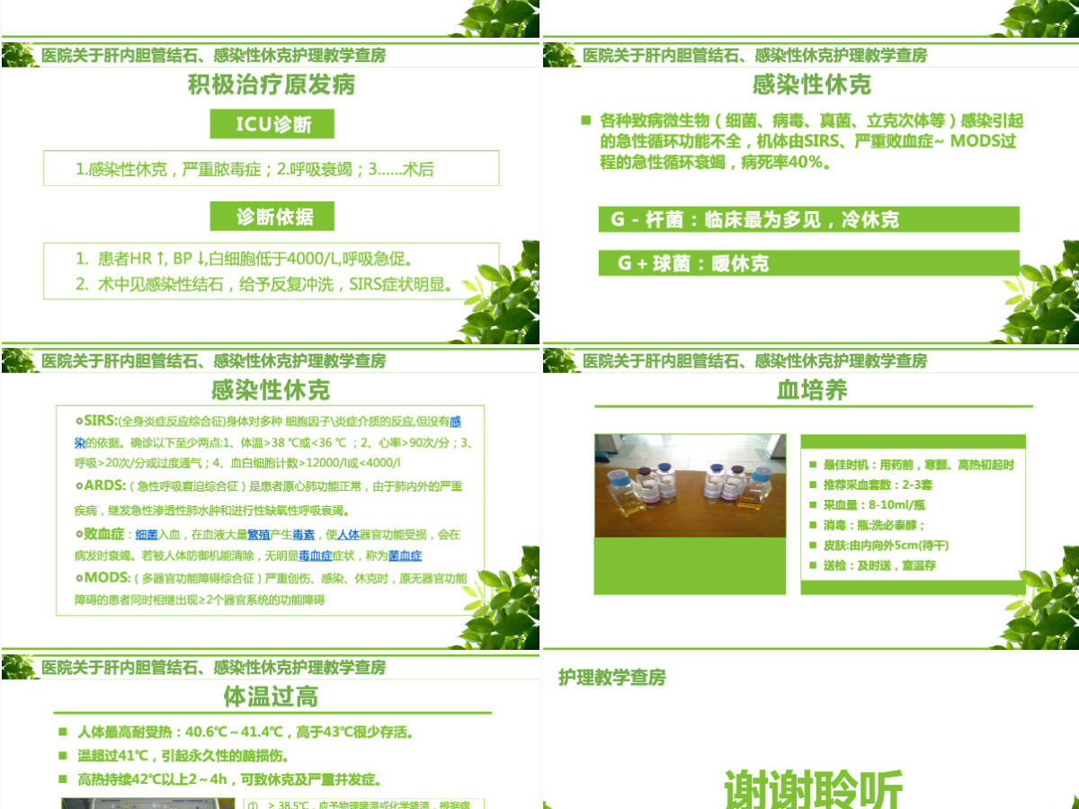 感染性休克肝胆内结石护理教学查房PPT模版