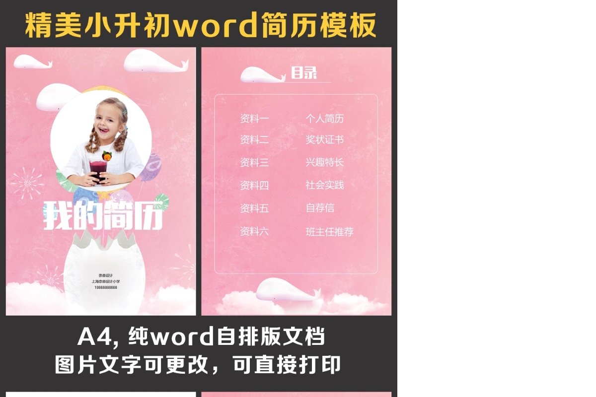 小升初简历