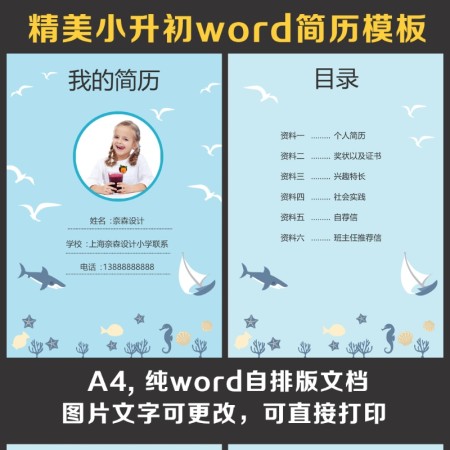 小升初简历