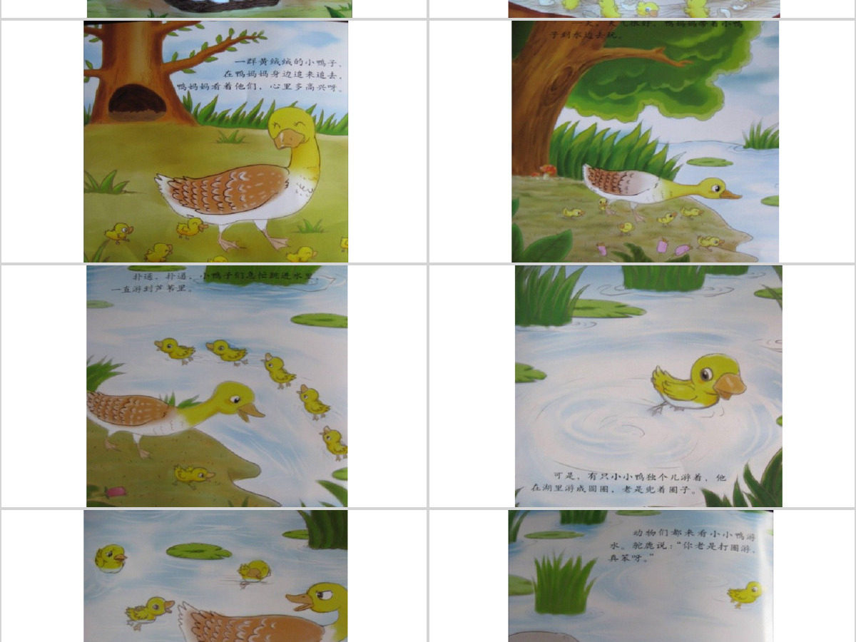 划圈儿的小小鸭幼儿绘本教育课件 划圈儿的小小鸭幼儿绘本教育课件