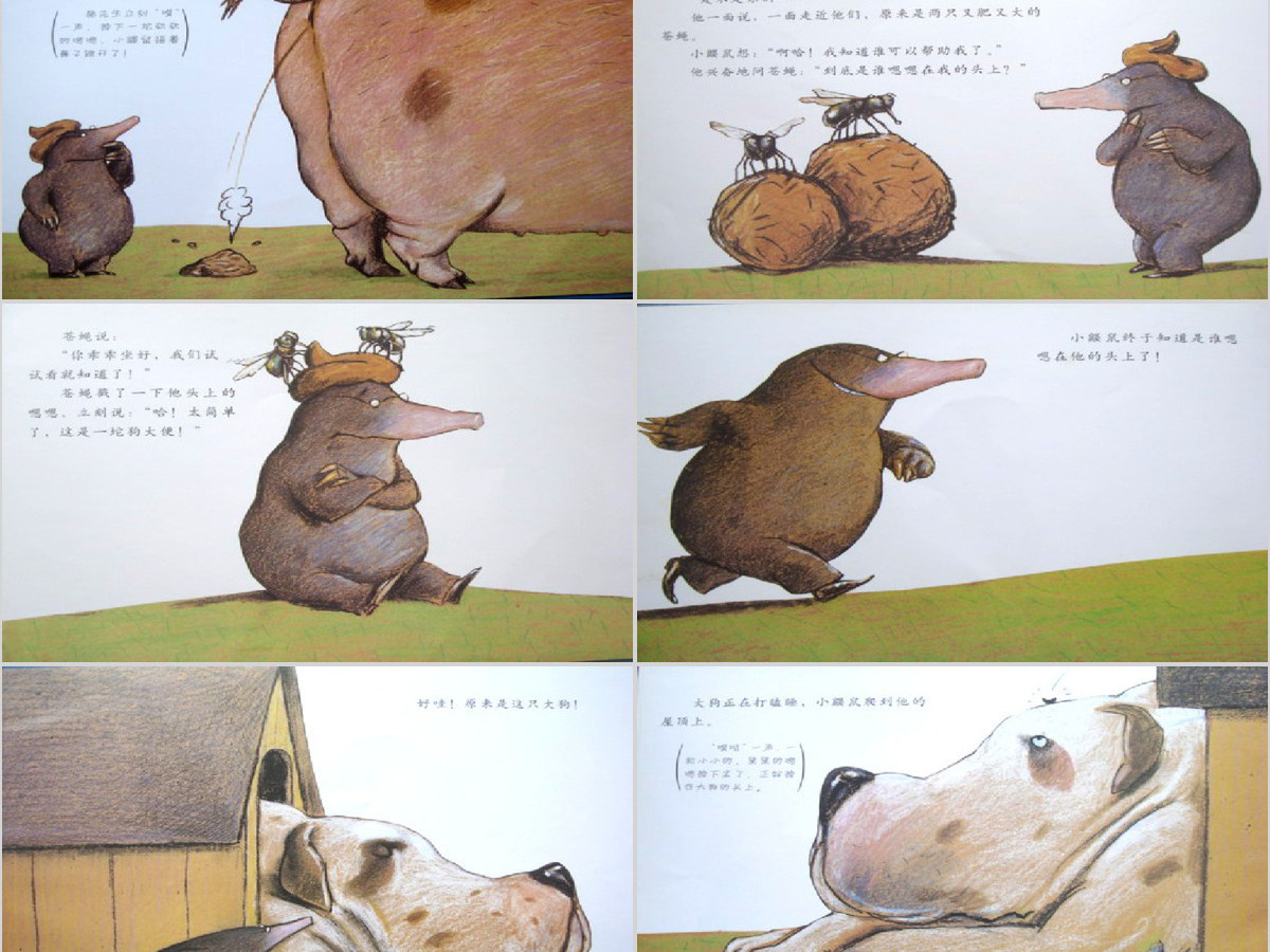 是谁嗯嗯在我的头上幼儿绘本教育课件 是谁嗯嗯在我的头上幼儿绘本教育课件