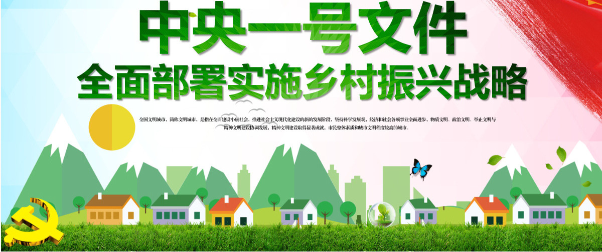 学习中央一号文件乡村振兴战略农村工作党课PPT模板