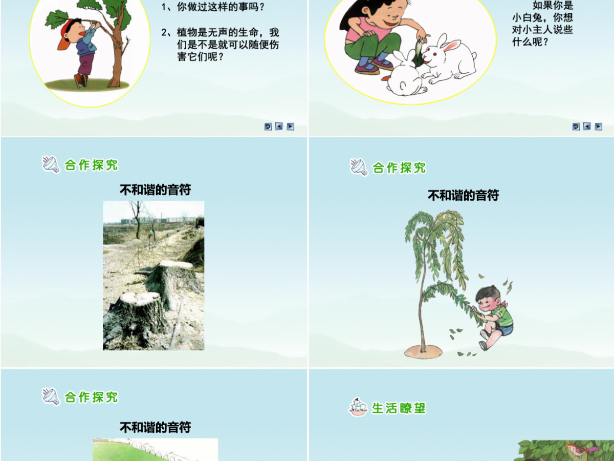 品德与社会四上美丽的生命PPT课件 品德与社会四上美丽的生命PPT课件