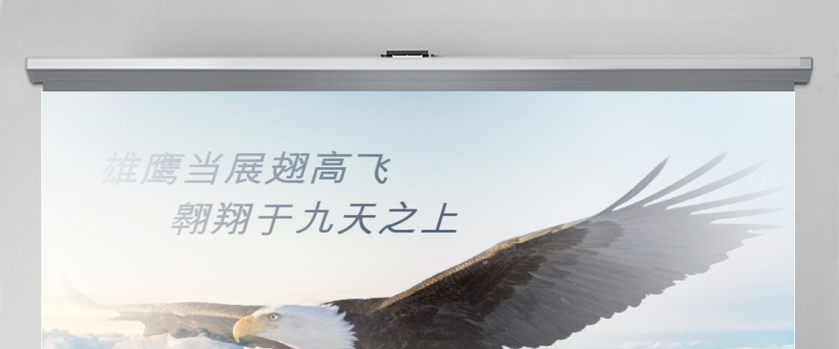 大气苍鹰公司简介企业宣传公司推广PPT