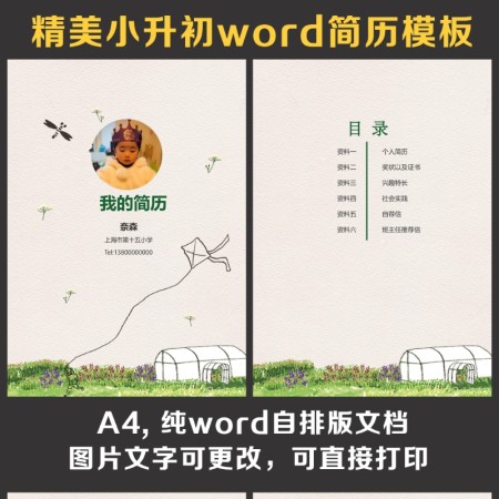 小升初简历