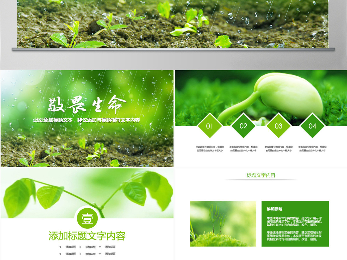 原创唯美绿色植物发芽植物生长敬畏生命PPT模板-版权可商用 原创唯美绿色植物发芽植物生长敬畏生命PPT模板-版权可商用